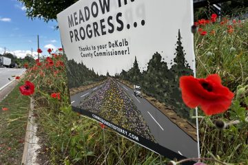 Copy of May_2025_Meadows_Covington and Memorial (2)