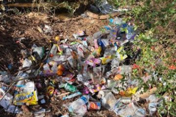 gresham park clean up image