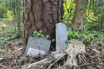 Two weathered gravestones and a tree stump surrounded by foliage in a wooded area.