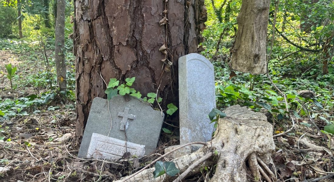 Two weathered gravestones and a tree stump surrounded by foliage in a wooded area.